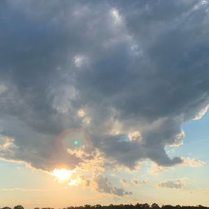 Meet your Posher, Laurie